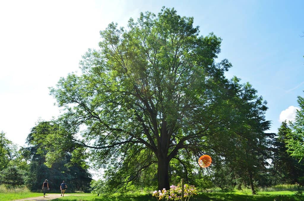 Peaceful Walking Paths
