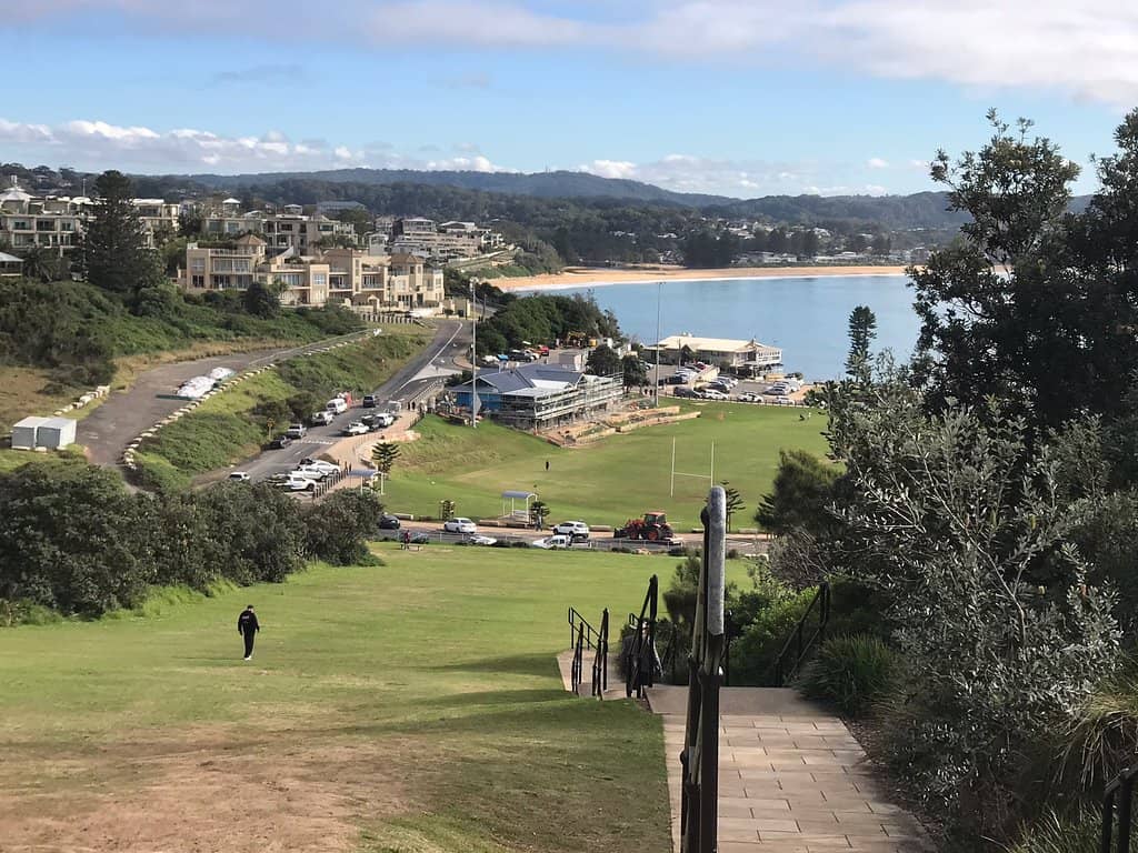 Whale Watching Lookout