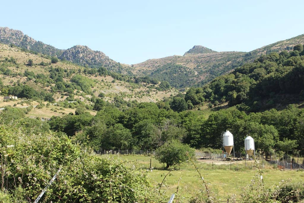 Gennargentu National Park Interior