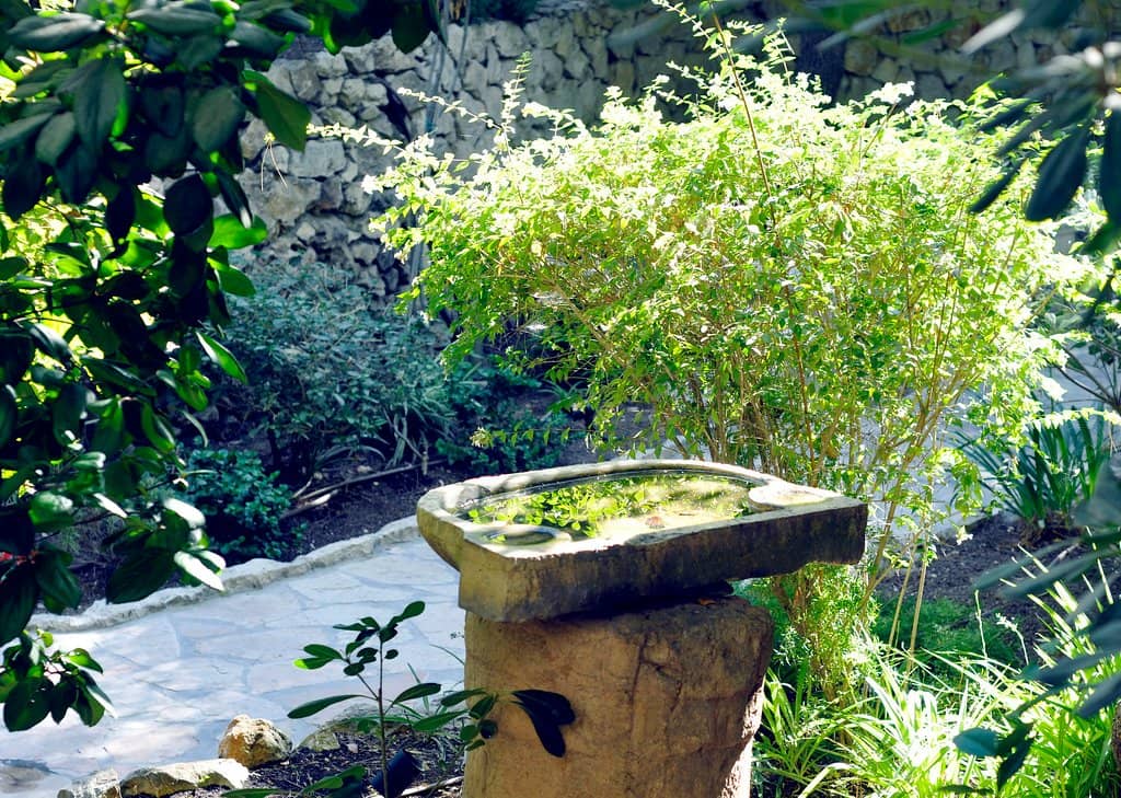 Skull Hill (Golgotha)