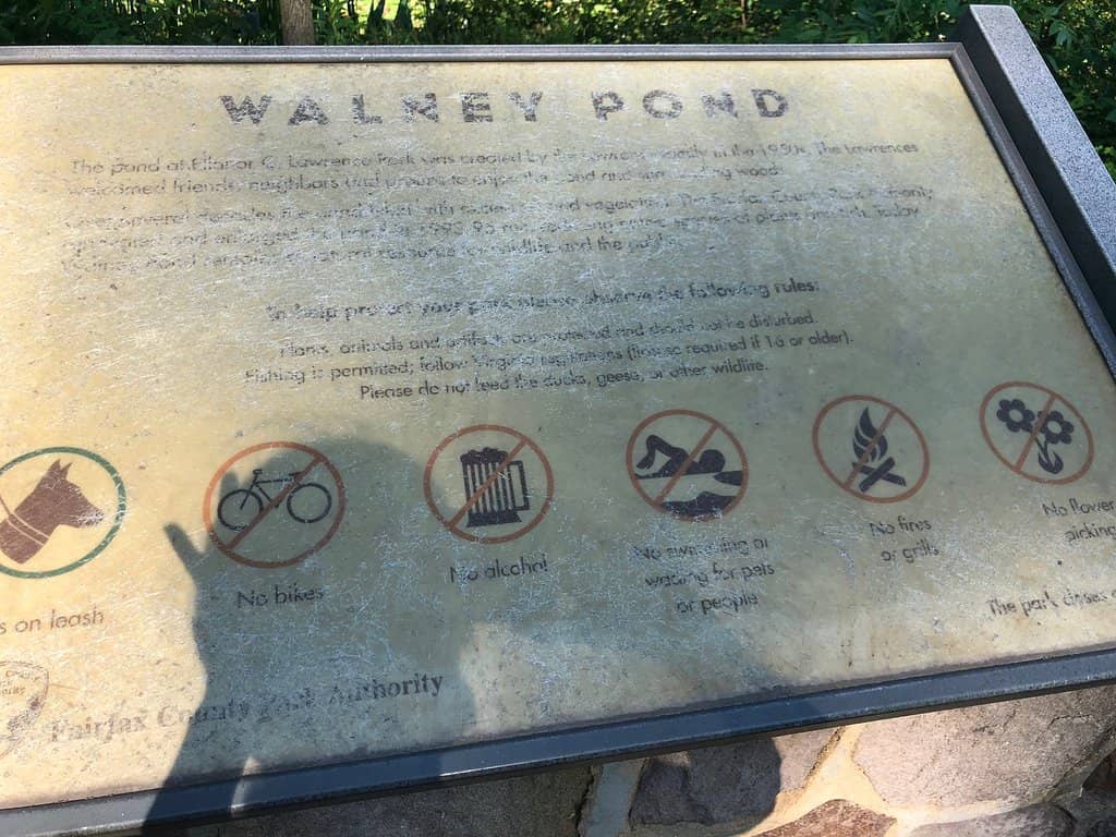 Helpful Staff & Amenities