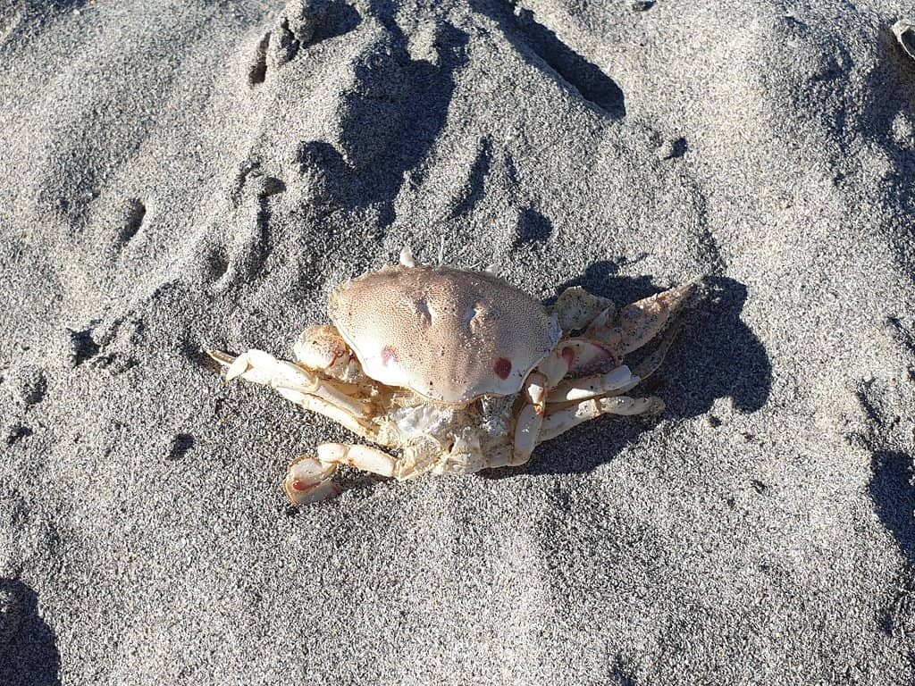 Fishing Opportunities