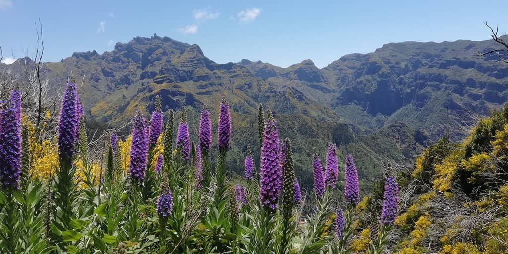 Tunnels and Stairways