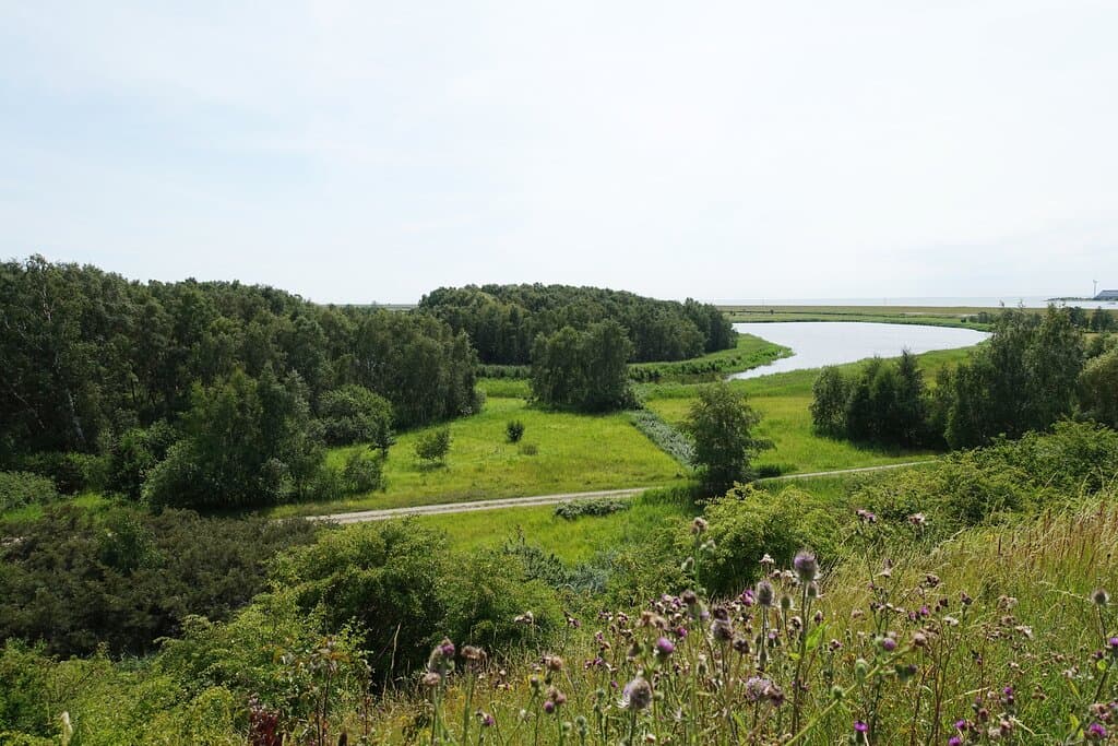 Kalvebod Fælled, København