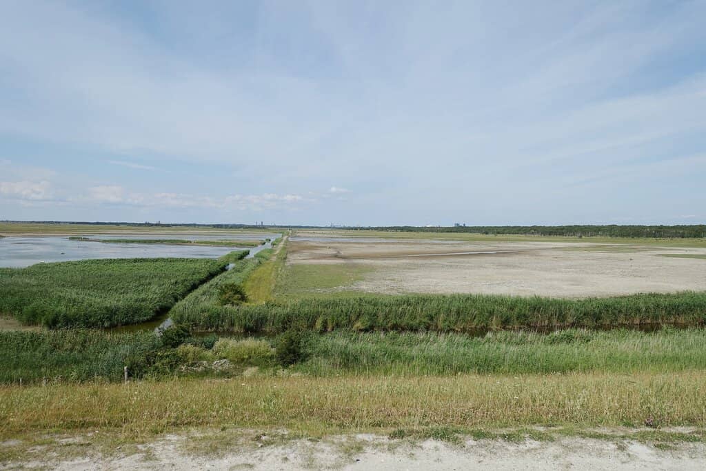 Birdwatching Paradise