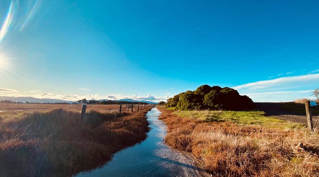 SS Waverley Shipwreck