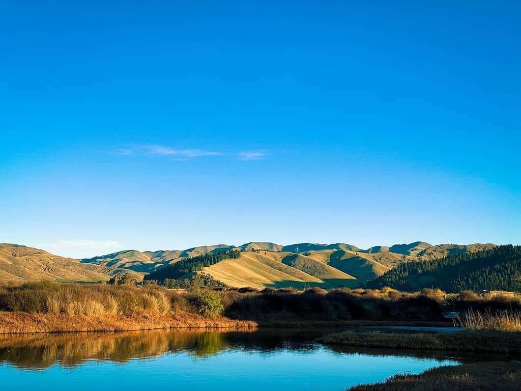 Birdwatching Opportunities