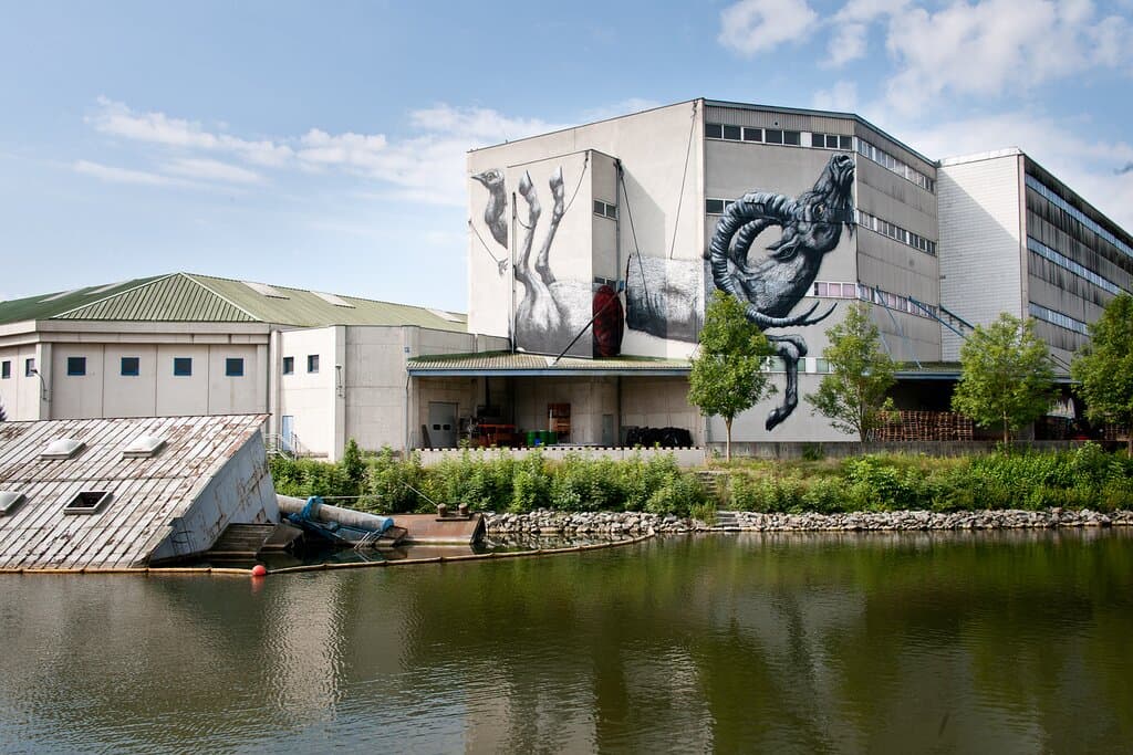 belgian artist ROA was one of the first ones to paint here in 2013. masterfully using the architecture to compliment the artwork.