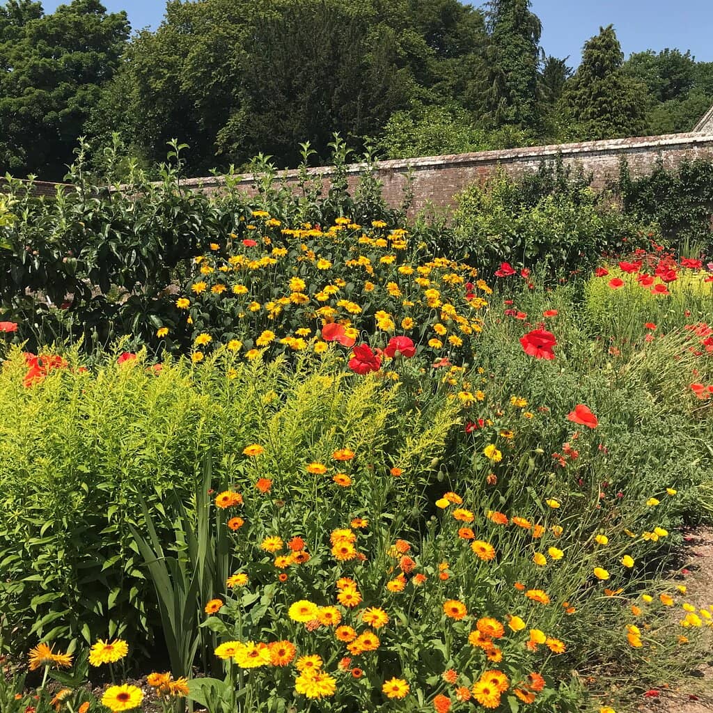 Walled Kitchen Garden