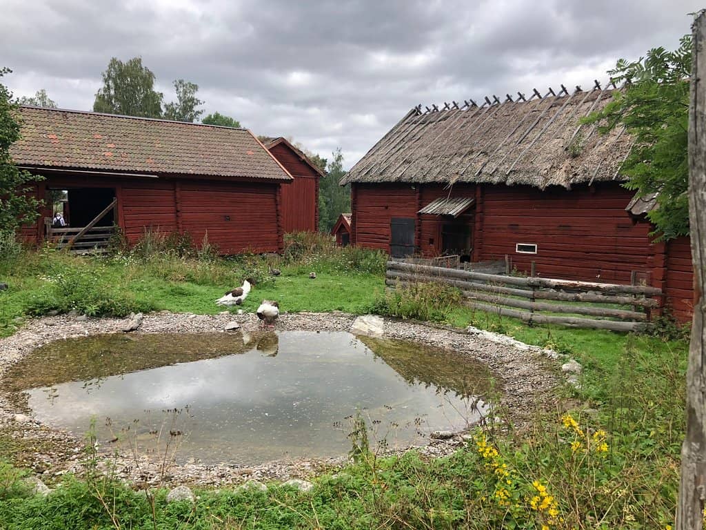 Native Farm Animals