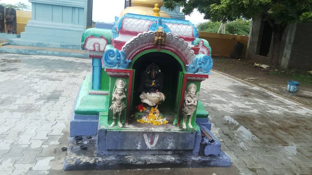 Mangrove Forest Drive