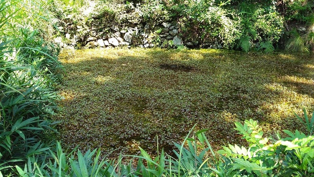 Historical Significance