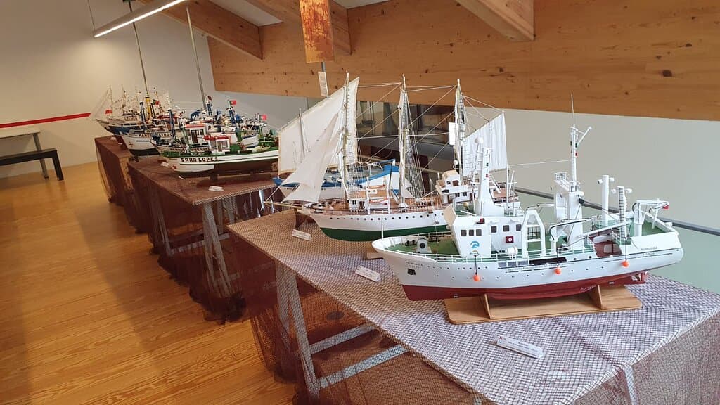 BARCOS