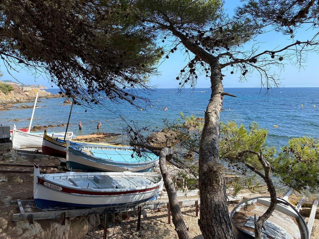 Tranquil Sunset Views