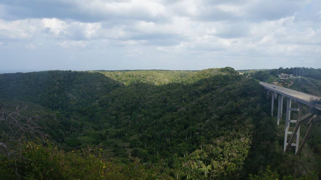 The Grand Bridge View