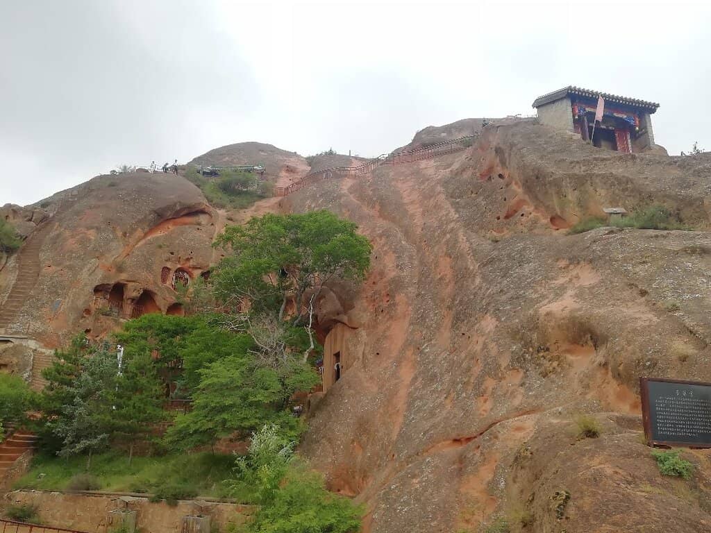 Autumn Maple Foliage