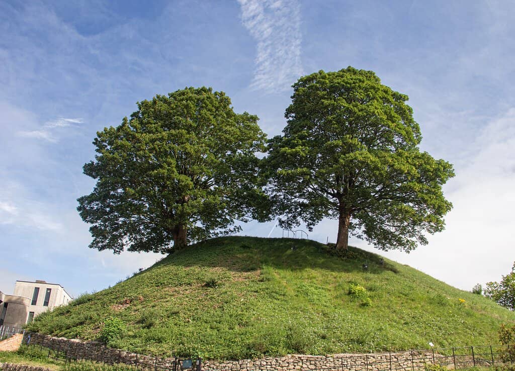 The Motte and Bailey Mound