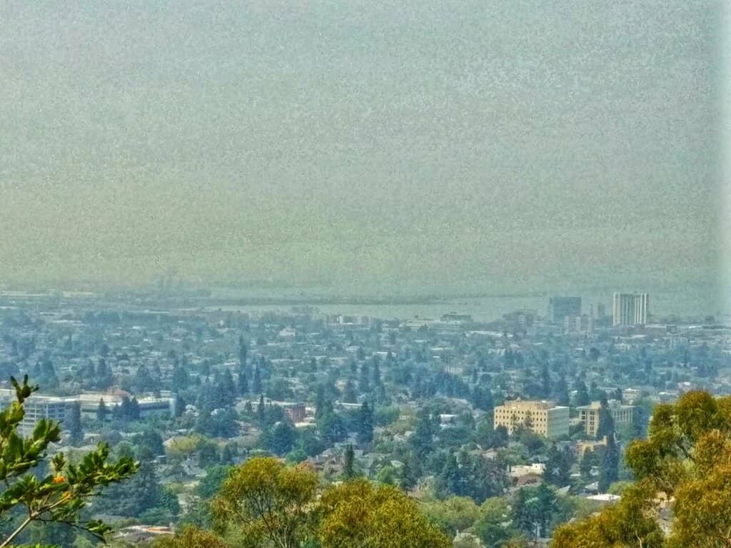 Panoramic Bay Views