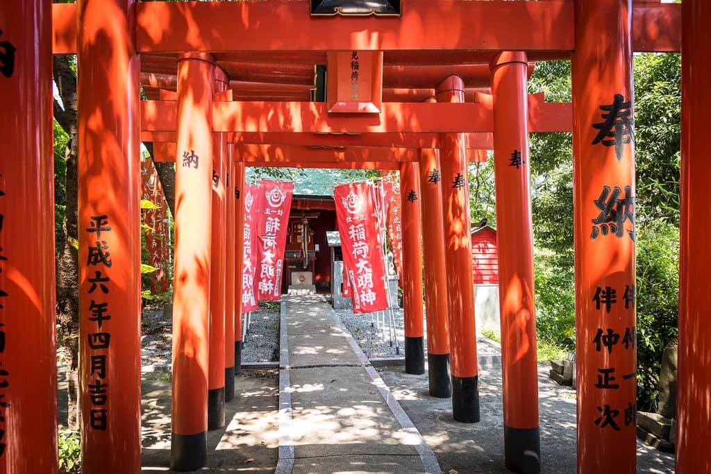 Panoramic City & Ocean Views