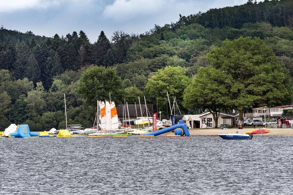 Pine-fringed Beaches