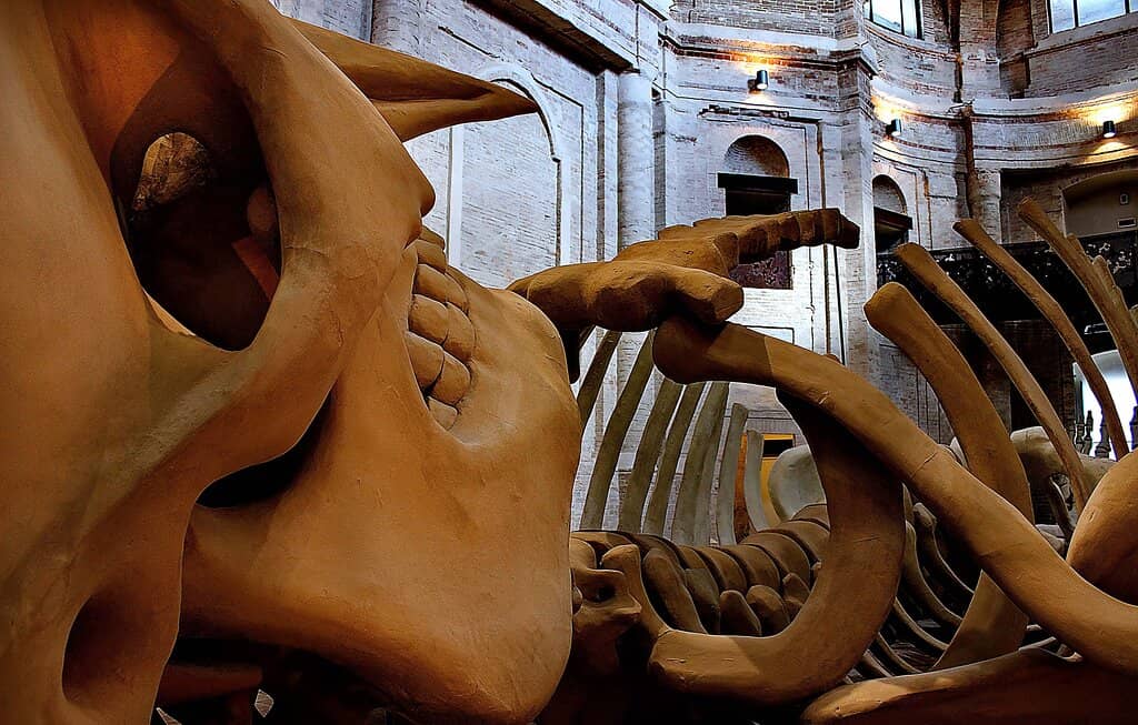 CIAC Contemporary Art Exhibitions