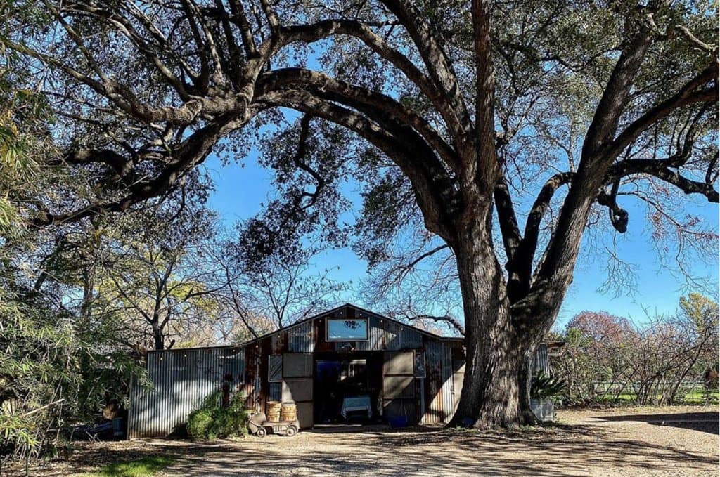 The farmstand under the heritage live oak tree awaits visitors.