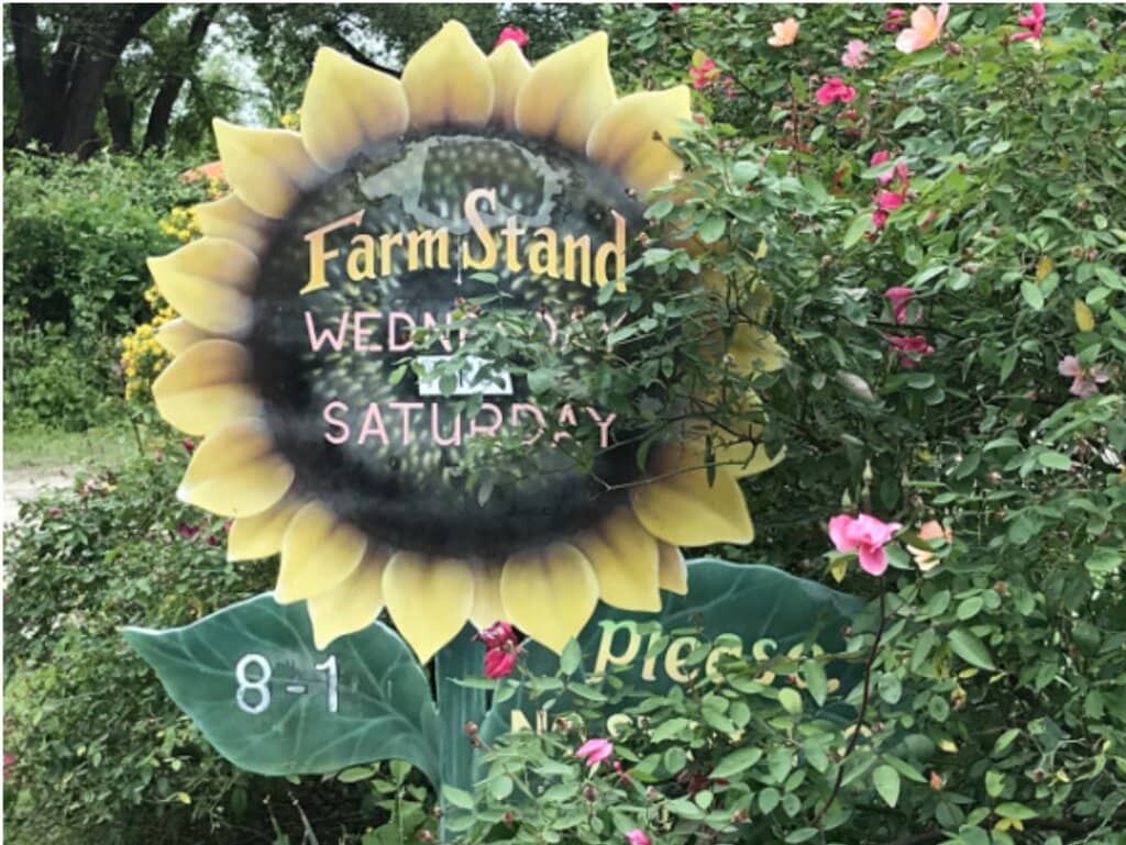 Unique Farm Experiences