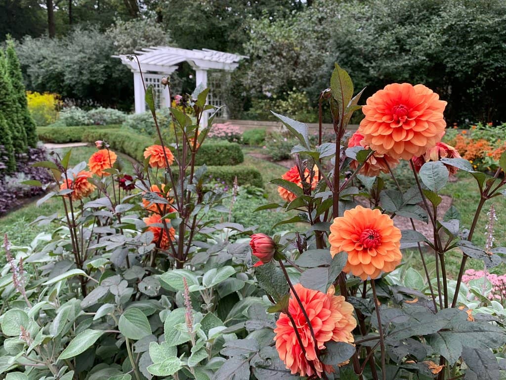 Madeline F. Elder Greenhouse