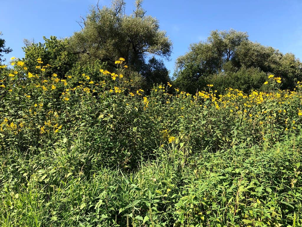 Picnic & Family Gathering Spots