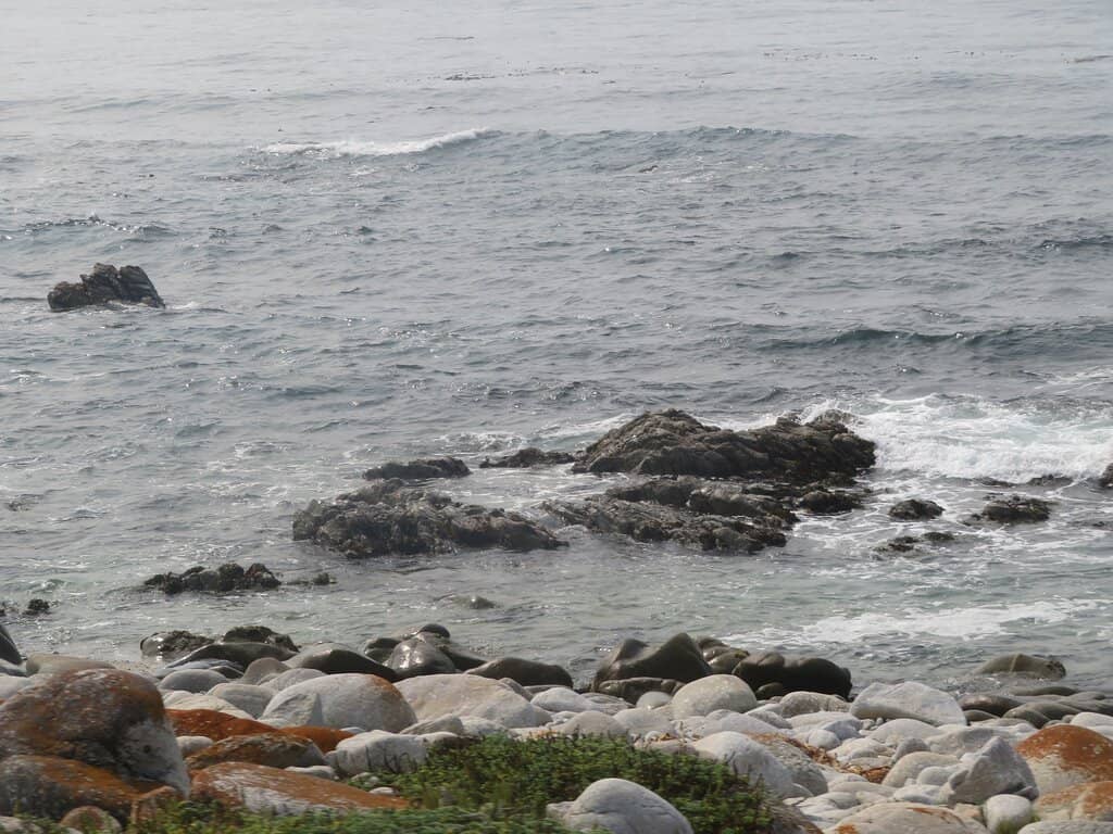 Scenic Bay Views & Picnics