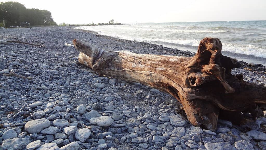 Clear, Shallow Waters