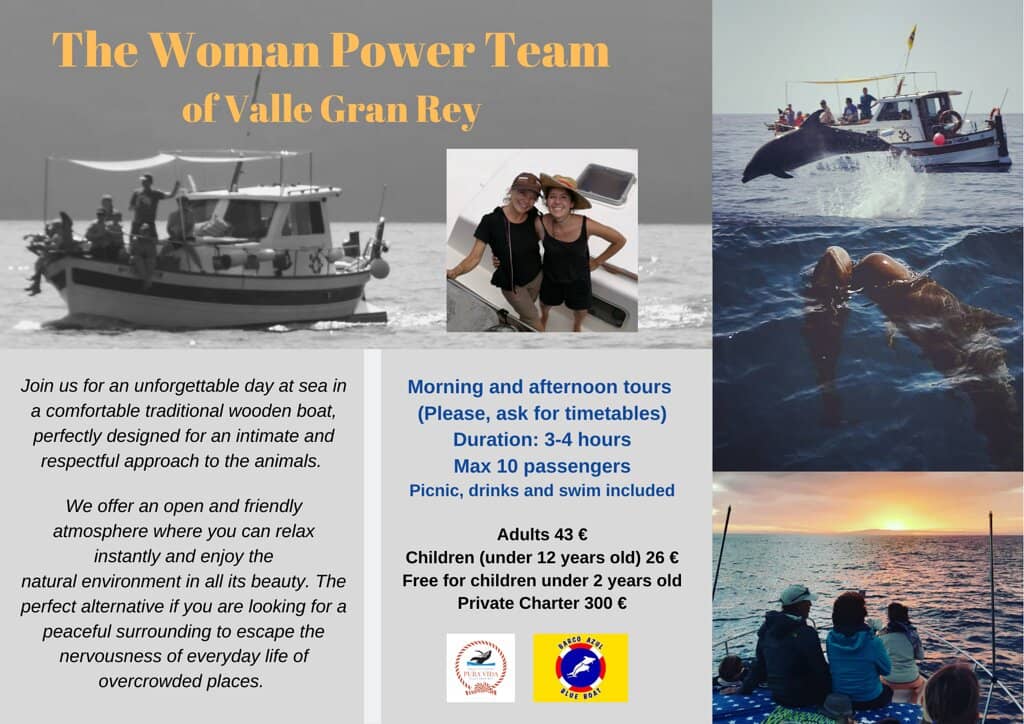 Pilot Whale Encounters