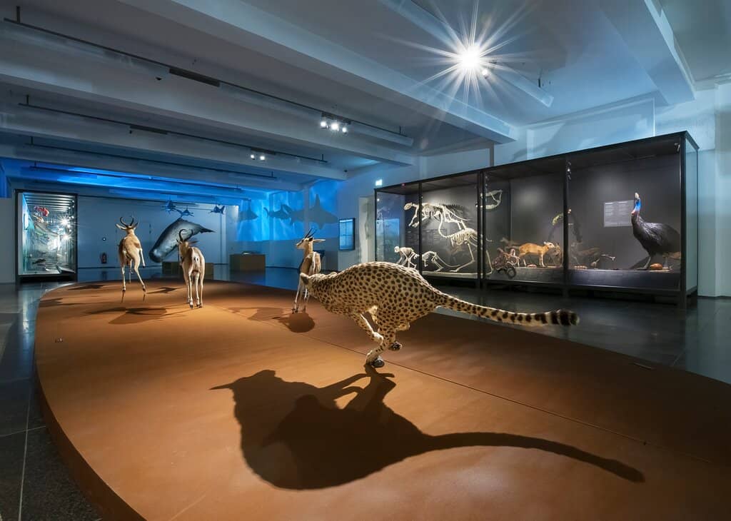 Aesthetics of Nature