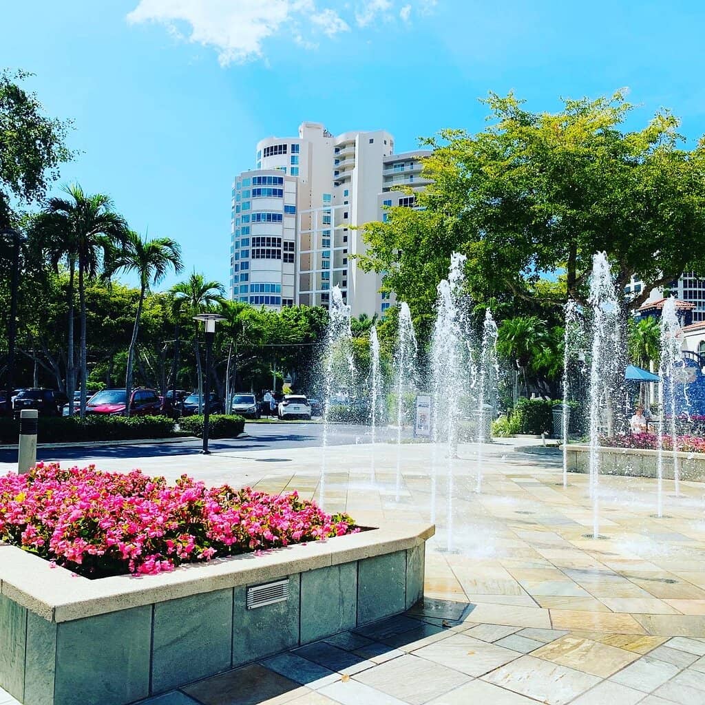 Chic Boutiques and Unique Shops