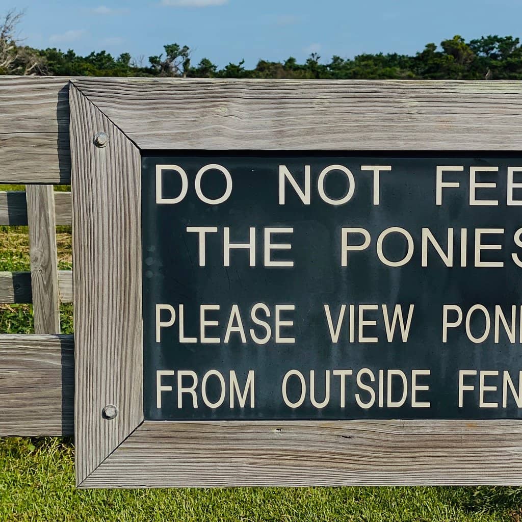 Ocracoke Pony Pens