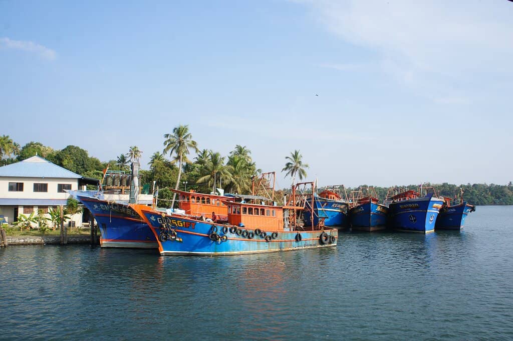 Munroe Island Exploration