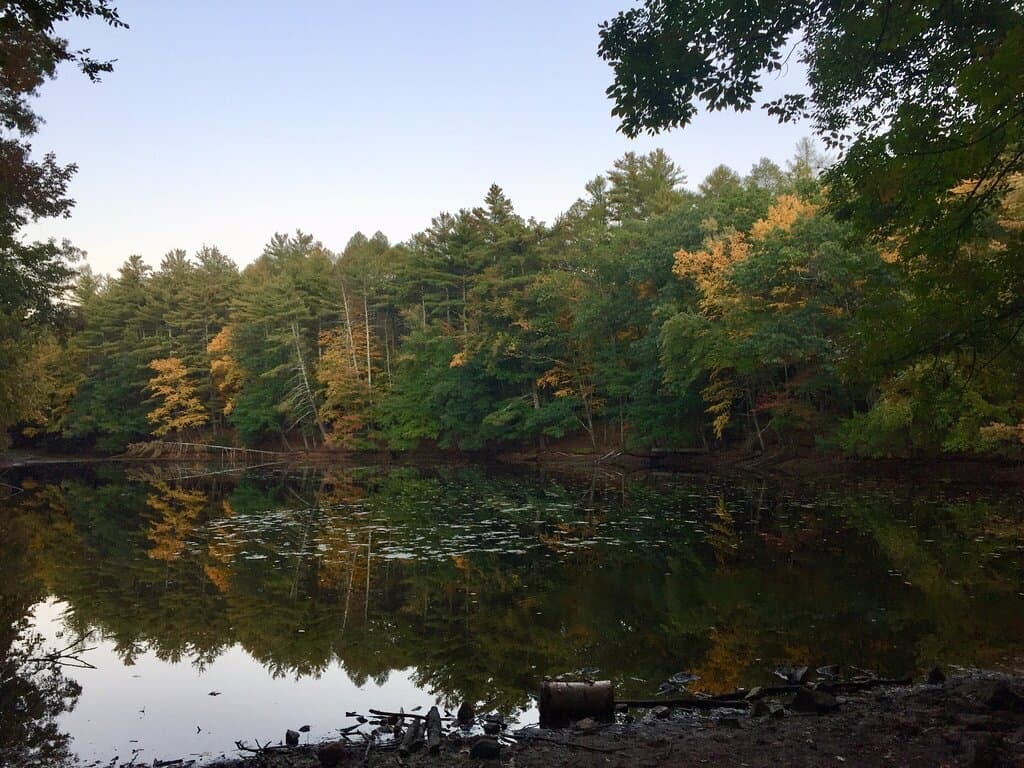 Early autumn in Mount Misery Reservation