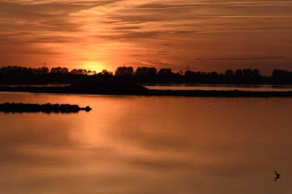 Birdwatching Paradise