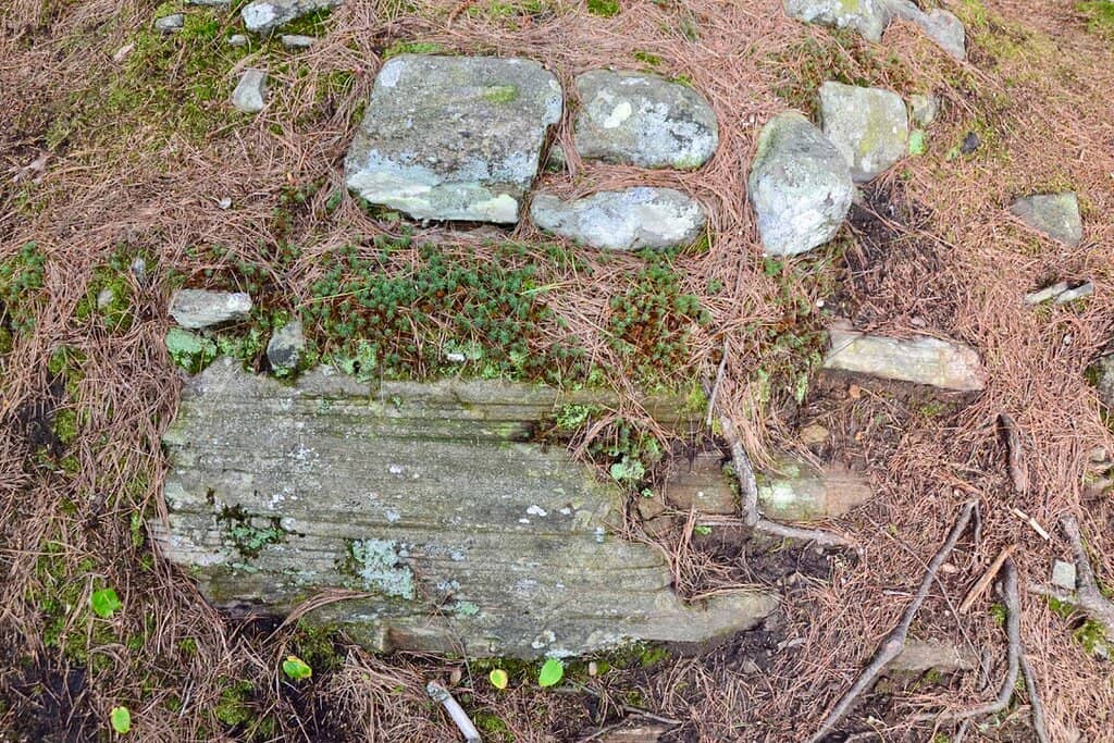 Spring Melt Spectacle