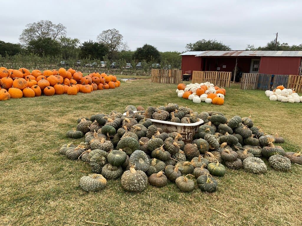Sweet Berry Farm