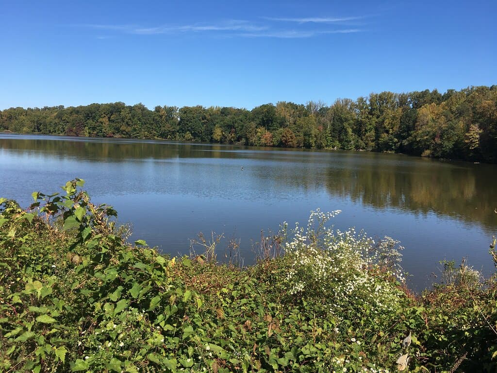 Lake Accotink Park lake