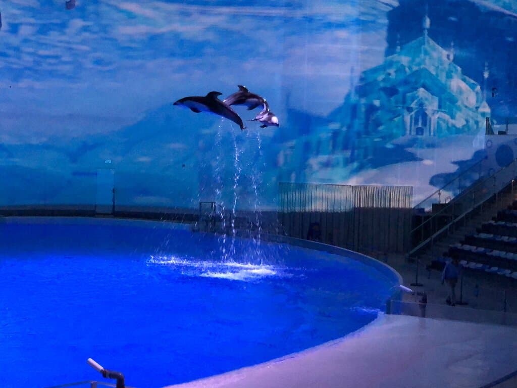 Shanghai Haichang Ocean Park