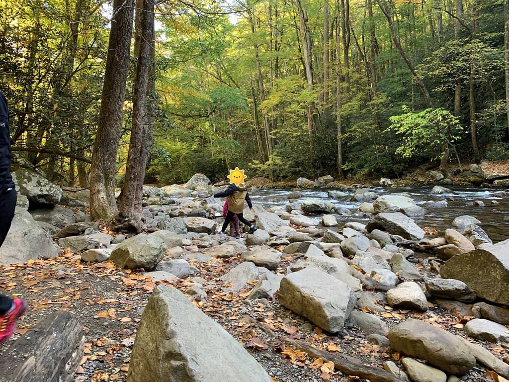 Mouse Creek Falls