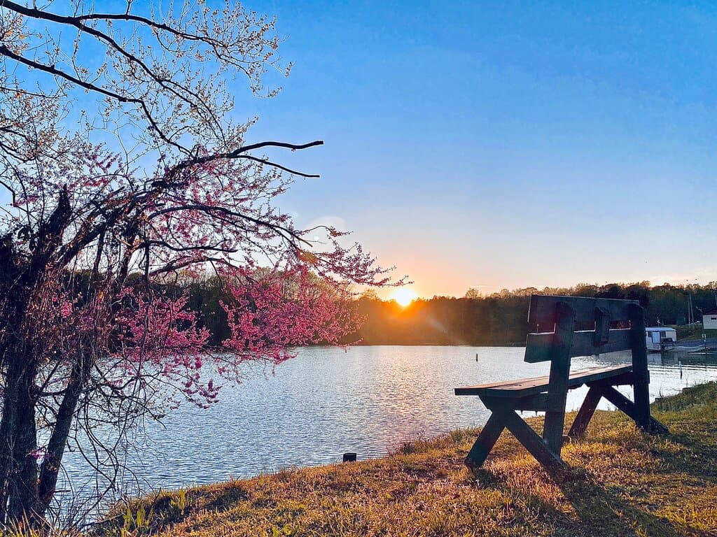 Lake Thom-A-Lex Park