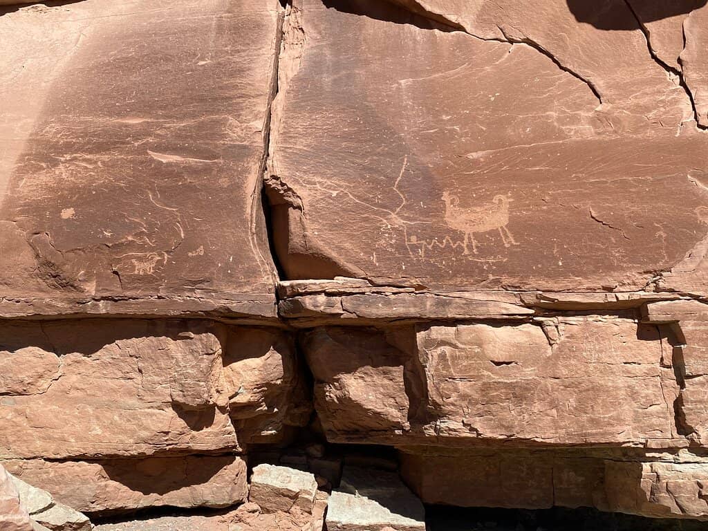 Vertical photo