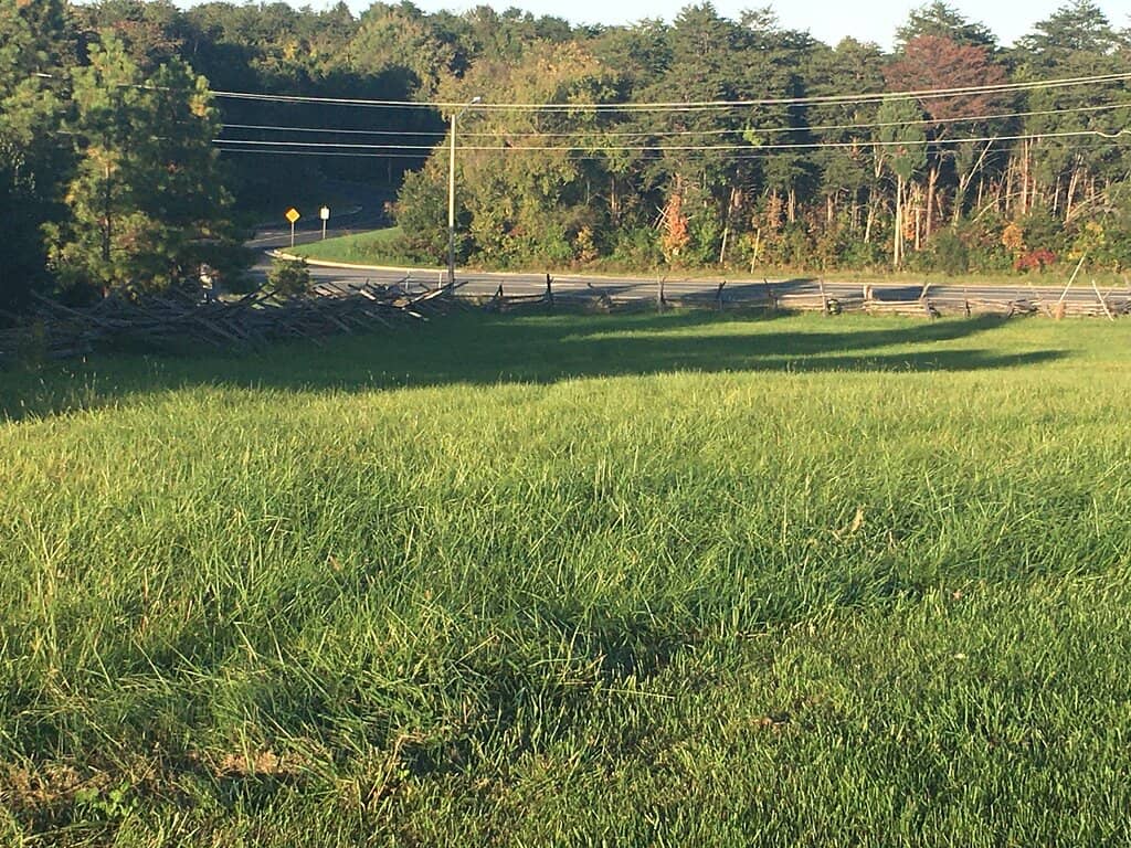 Open Field Loop