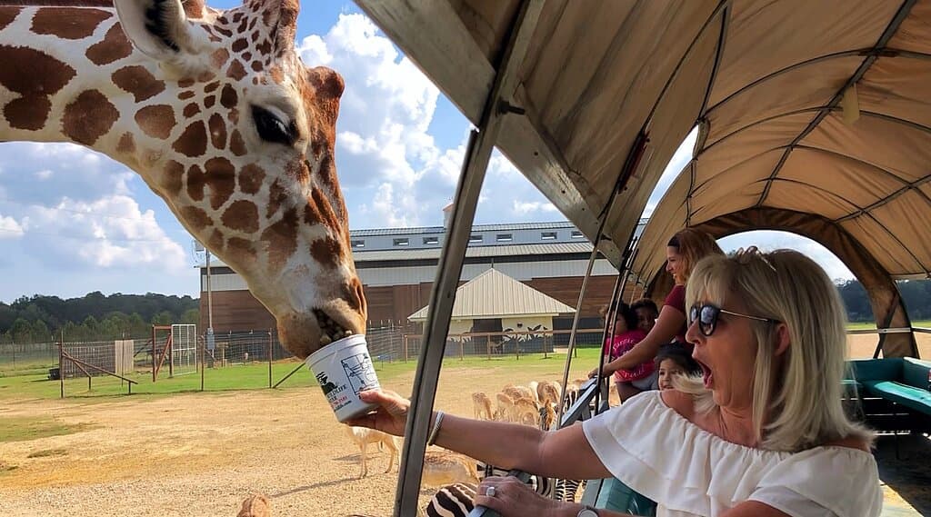 Global Wildlife Center Wagon Ride