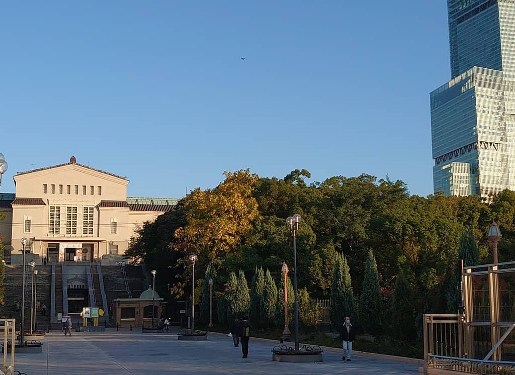 Serene Pond & Wildlife