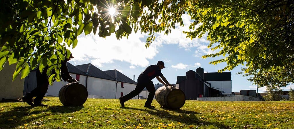 a sunny day at Tomatin