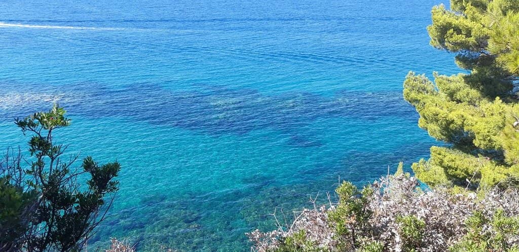 Crystal Clear Waters